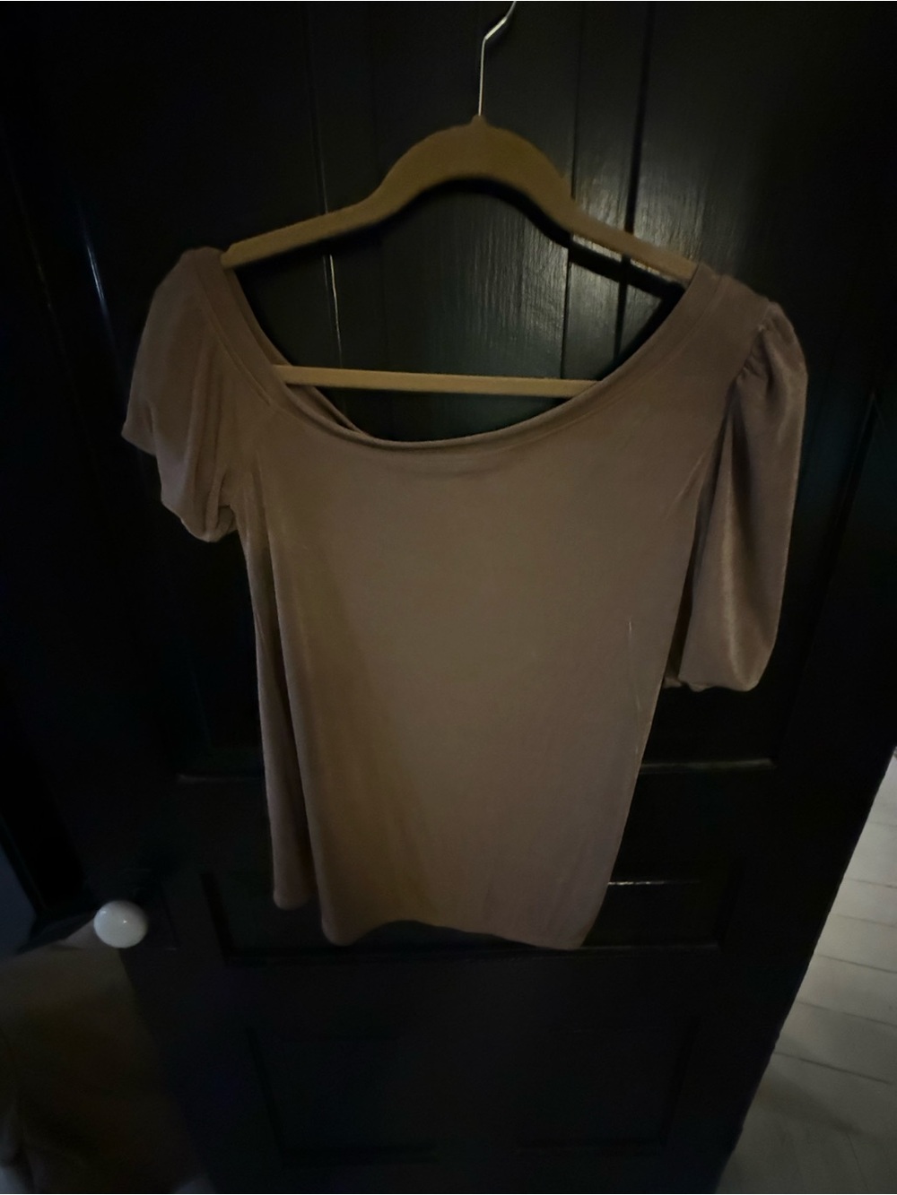 Red Brown Scoop Neck Short Sleeve Top